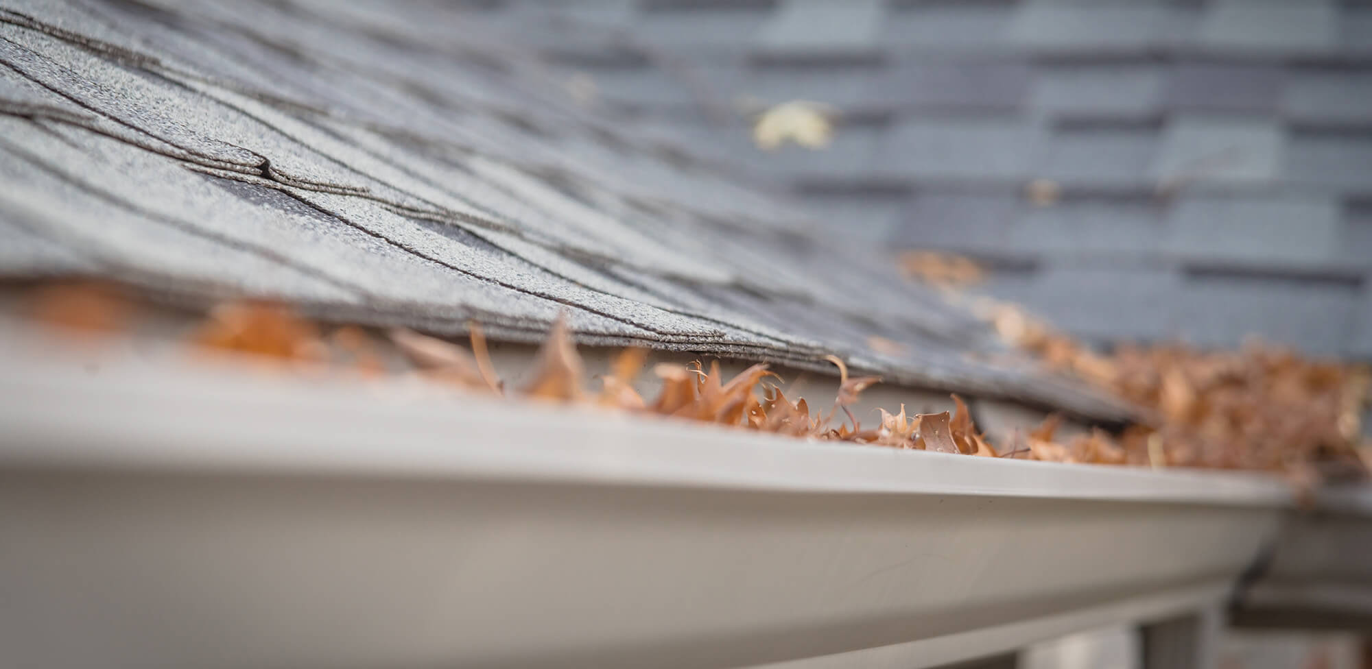 Fall Maintenance and Cleanup Checklist for Homeowners in Pennsylvania